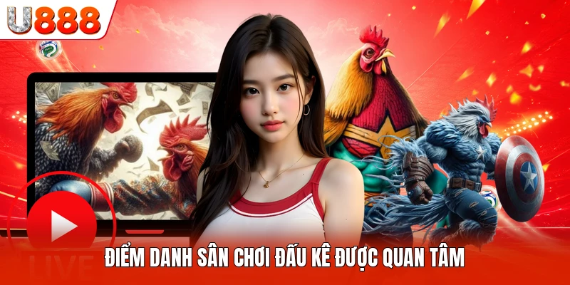 Điểm danh sân chơi đấu kê được quan tâm