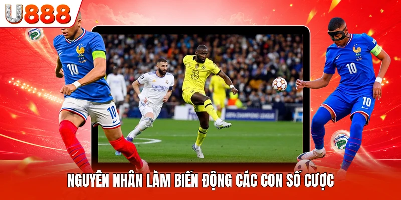 Nguyên nhân làm biến động các con số cược