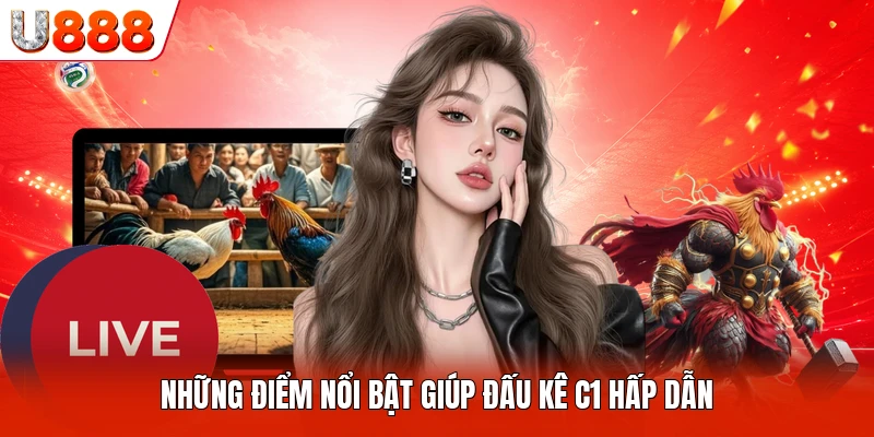 Những điểm nổi bật giúp đấu kê C1 hấp dẫn
