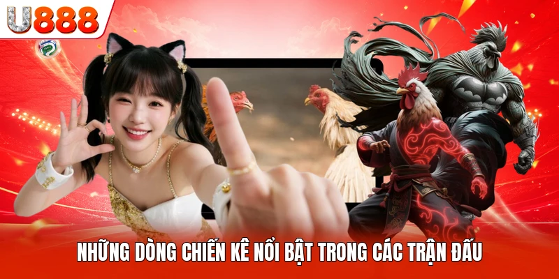Những dòng chiến kê nổi bật trong các trận đấu