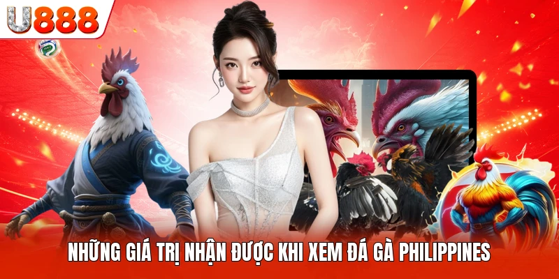 Những giá trị nhận được khi xem đá gà Philippines
