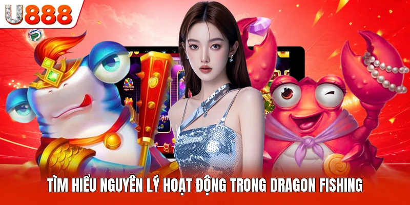Tìm hiểu nguyên lý hoạt động trong Dragon Fishing